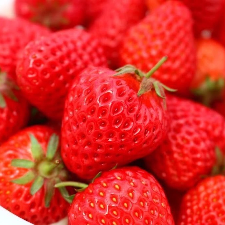 5b0f46a45496ff0e29003026