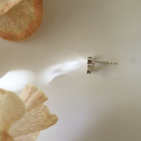 【Paw】#001P