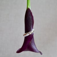 【Paw】shimenawa ring