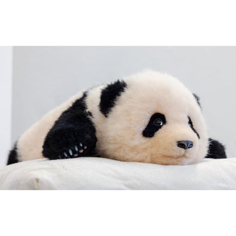 【熊猫工場（Panda　Factory）】公式ライセンス正規品・シャンシャン　生後3か月　うつぶせ姿　リアルぬいぐるみ