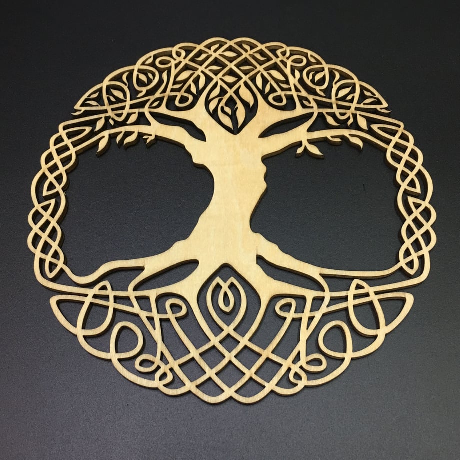 5cd919d00376c6155639d29c