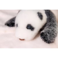 【熊猫工場（Panda　Factory）】シャンシャン　生後22日　開眼or閉眼バージョン　ハンドメイド　リアルぬいぐるみ