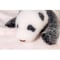 【熊猫工場（Panda　Factory）】シャンシャン　生後22日　開眼or閉眼バージョン　ハンドメイド　リアルぬいぐるみ