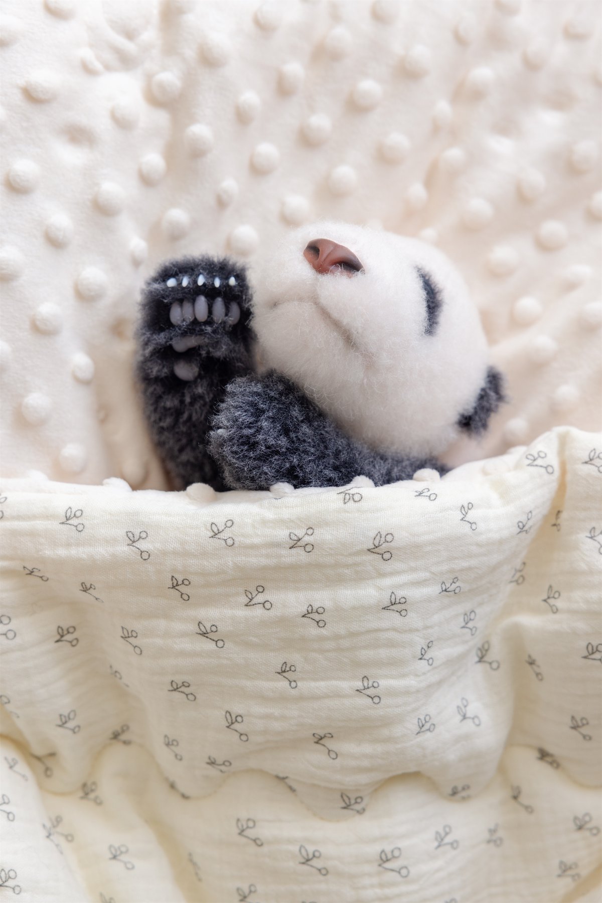 熊猫工場（Panda Factory）】シャンシャン 生後22日 開眼or閉眼
