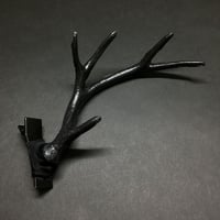 【 漆黒 （しっこく）】龍の角