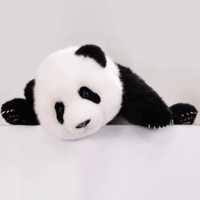 【熊猫工場（Panda　Factory）】萌蘭（モンラン）　生後5か月　うつぶせ姿　リアルパンダぬいぐるみ