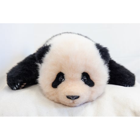 【熊猫工場（Panda　Factory）】公式ライセンス正規品・シャンシャン　生後3か月　うつぶせ姿　リアルぬいぐるみ