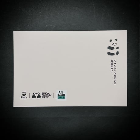 【熊猫工場（Panda　Factory）】公式ライセンス正規品・シャンシャン　生後3か月　うつぶせ姿　リアルぬいぐるみ