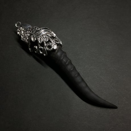 黒い仔山羊の角