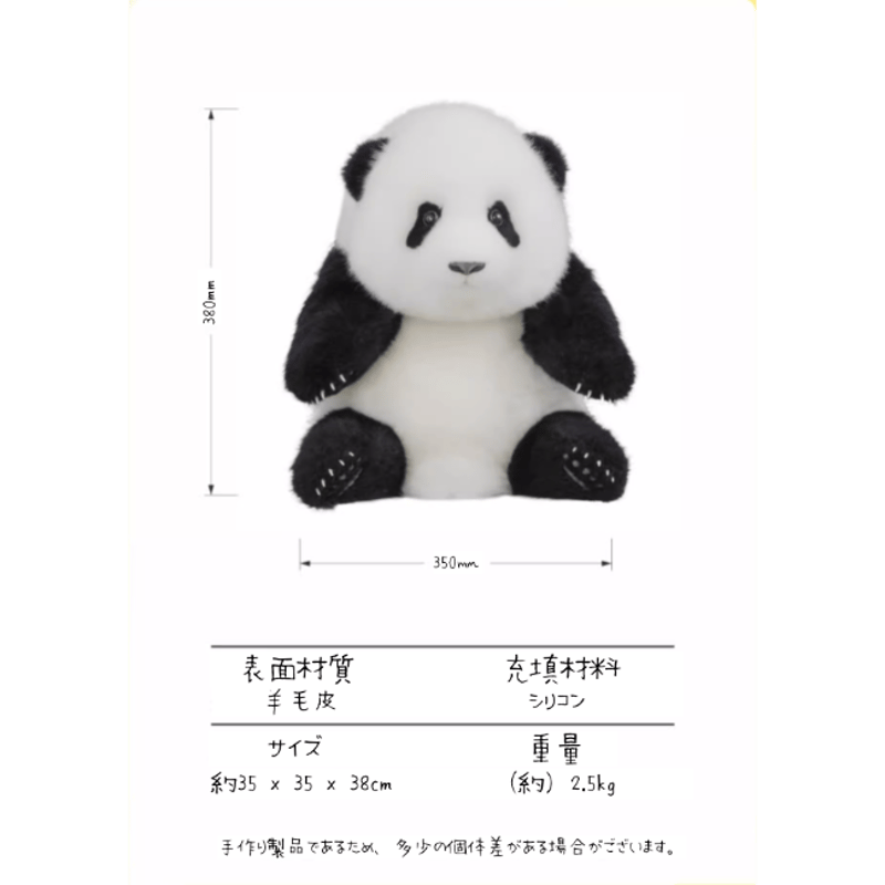 熊猫工場（Panda Factory）】萌蘭（モンラン） 生後5か月