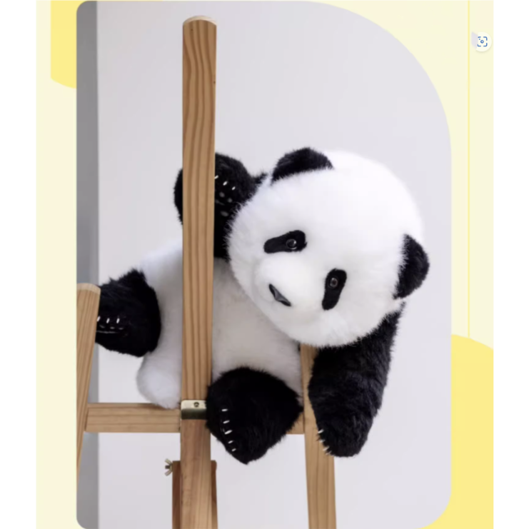 熊猫工場（Panda Factory）】萌蘭（モンラン） 生後5か月 うつぶせ姿