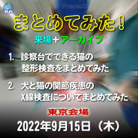 『まとめてみた！』：東京：22022年9月15日（木）：来場＋アーカイブ
