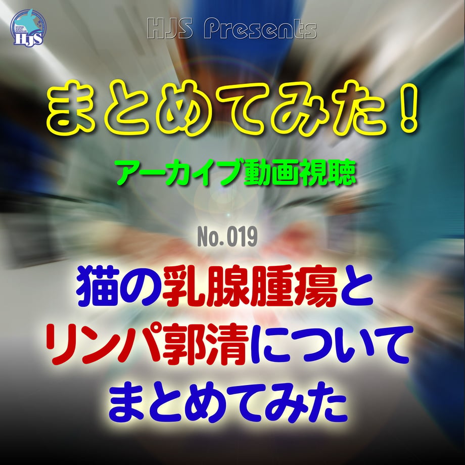 63f4e4e07c42ee24eb31465f