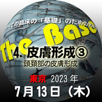 『The Base』：4. 皮膚形成③頭頚部の皮膚形成：東京：2023年7月13日（木）