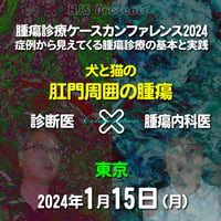 腫瘍診療ケースカンファレンス2024：「犬と猫の肛門周囲の腫瘍」：東京：2024年1月15日（月）：来場＋アーカイブ