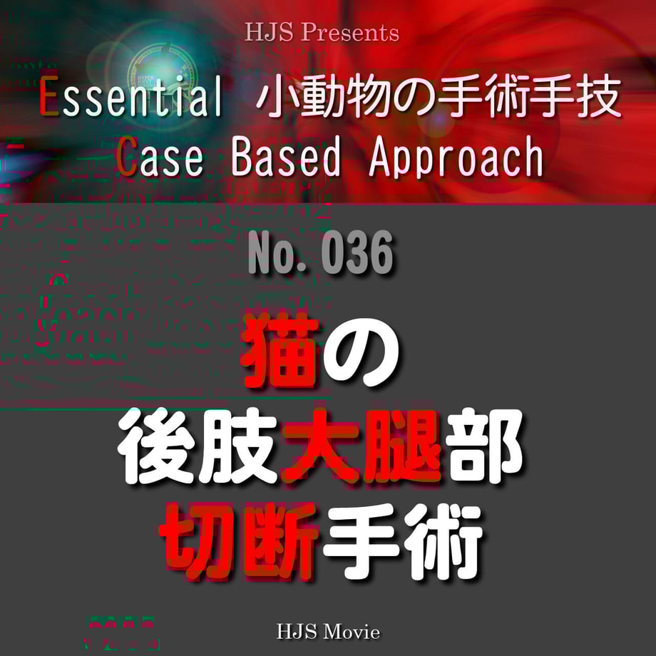 645257d2835a67002ec9cca3