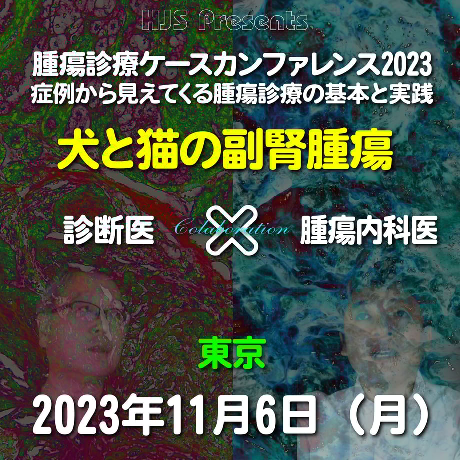 653fb78f9391c403713aa0d9
