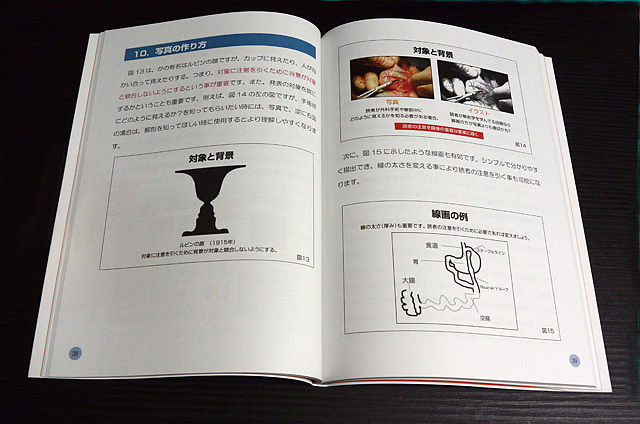 臨床獣医 臨床獣医 23年臨時増刊号 (発売日2023年05月31日) | 雑誌/定期