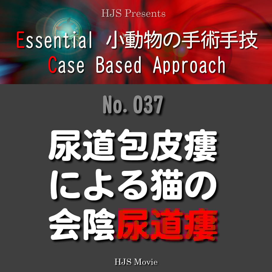 646098cd53ff9f0039c3f8f1