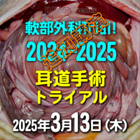 軟部外科Trial! 2024-2025 追加講演【耳道手術トライアル】：東京：2025年3月13日(木)