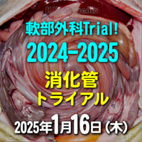 軟部外科Trial! 2024-2025【消化管トライアル】：東京：2025年1月16日(木)