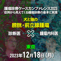 腫瘍診療ケースカンファレンス2023：「犬と猫の膀胱・前立腺腫瘍」：東京：2023年12月18日(月）：来場＋アーカイブ