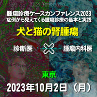 腫瘍診療ケースカンファレンス2023：「犬と猫の腎腫瘍」：東京：2023年10月2日（月）：来場＋アーカイブ