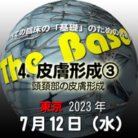 『The Base』：4. 皮膚形成③頭頚部の皮膚形成：東京：2023年7月12日（水）