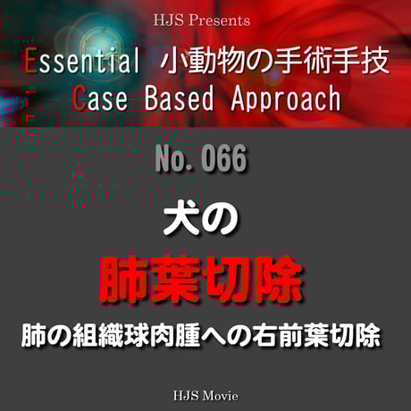 CATEGORY 動画セミナー | HJS Store