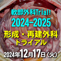 軟部外科Trial! 2024-2025【形成・再建外科トライアル】：東京：2024年12月17日(火)