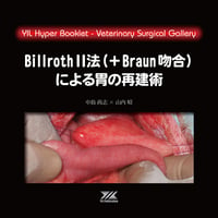 YILハイパーブックレット　ヴェテリナリサージカルギャラリー「BillrothⅡ法(＋Braun吻合)による胃の再建術」