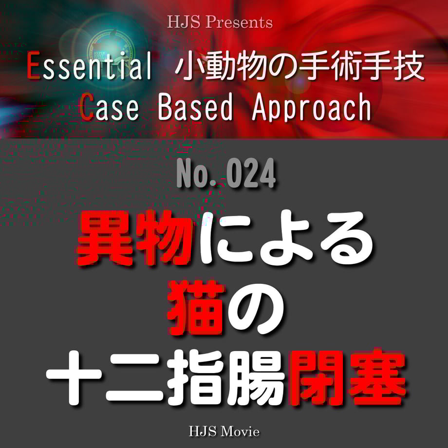 6351fe04f80f1e1c91844a42