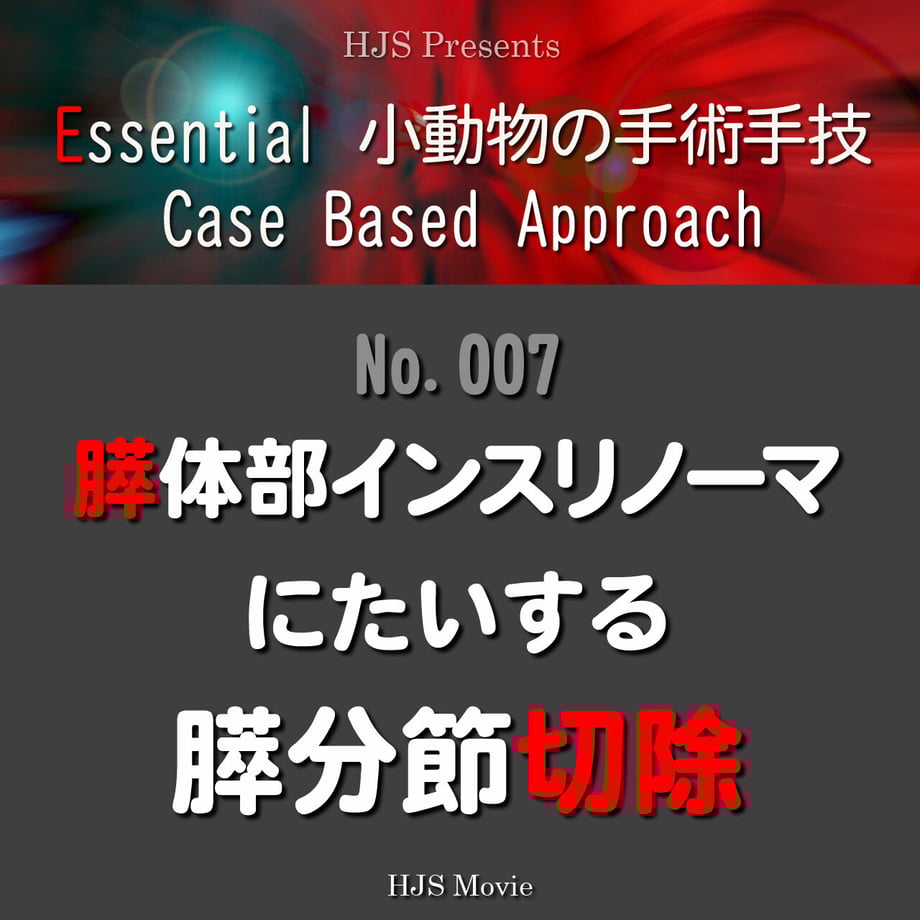 61c497e84adba06ab5c8b2da