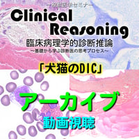 Clinical Reasoning：「犬猫のDIC」：アーカイブ（動画視聴）