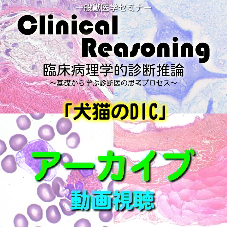 632c8e44f3086561023cd6d5