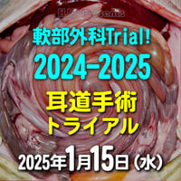 軟部外科Trial! 2024-2025【耳道手術トライアル】：東京：2025年1月15日(水)