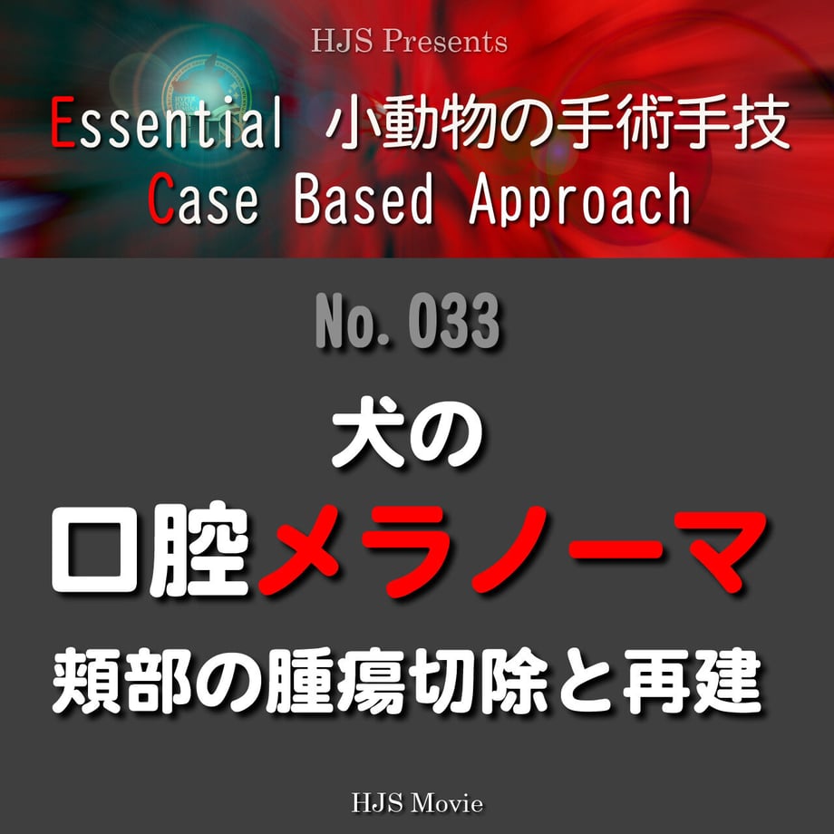 640c8835b523c447e648c88c