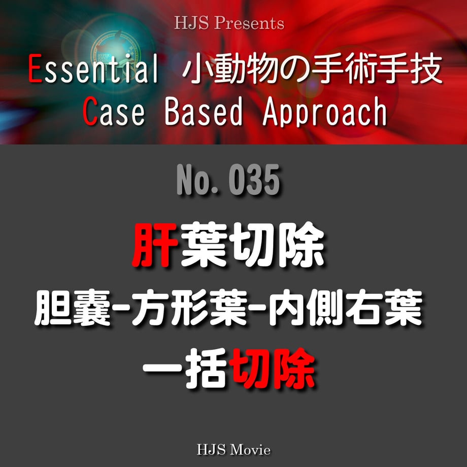 643a2835117e11002b81b0ee