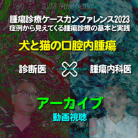 腫瘍診療ケースカンファレンス2023：「犬と猫の口腔内腫瘍」：アーカイブ（動画視聴）