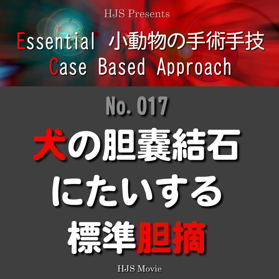 62ab34ff1c6fdf1d81ddbf66