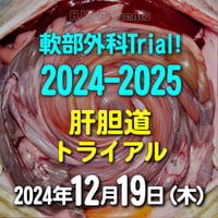 軟部外科Trial! 2024-2025【肝胆道トライアル】：東京：2024年12月19日(木)