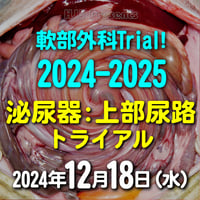 軟部外科Trial! 2024-2025【泌尿器：上部尿路トライアル】：東京：2024年12月18日(水)