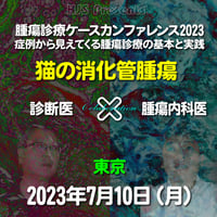 腫瘍診療ケースカンファレンス2023：「猫の消化管腫瘍」来場：東京：2023年7月10日（月）