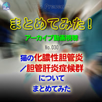 まとめてみた！：No. 030：猫の化膿性胆管炎／胆管肝炎症候群についてまとめてみた：アーカイブ