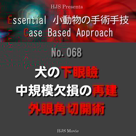 炎症と炎症性疾患　hjs 獣医　本 実験医学 2023年12月 Vol.41 No.19 炎症老化 Inflammaging〜老化