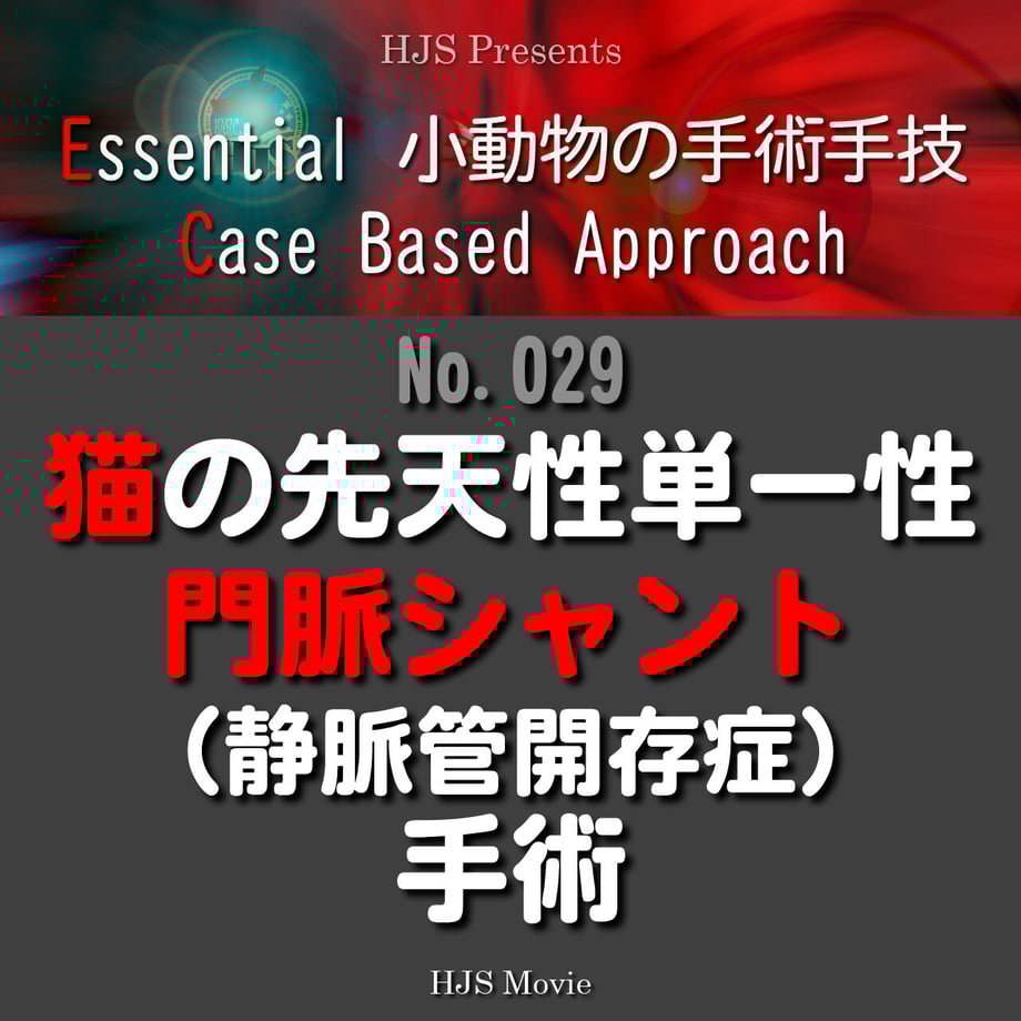 63b5a924a37f726d1ce21ccc