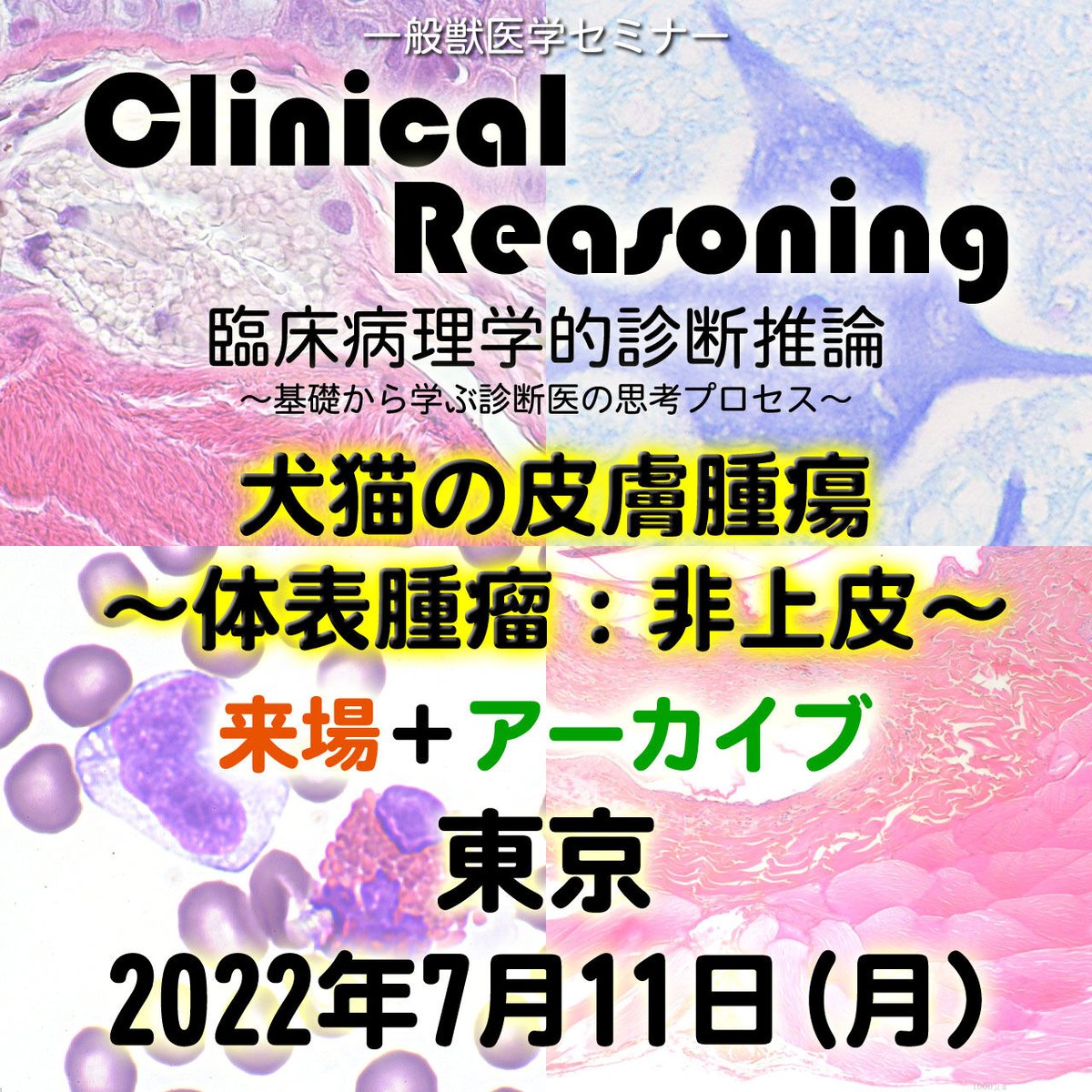 Reasoning：「犬猫の皮膚腫瘍～体表腫瘤：非上皮～」：東京：　Clinical　2022...