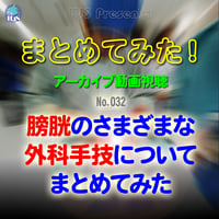 まとめてみた！：No. 032：膀胱のさまざまな外科手技についてまとめてみた：アーカイブ