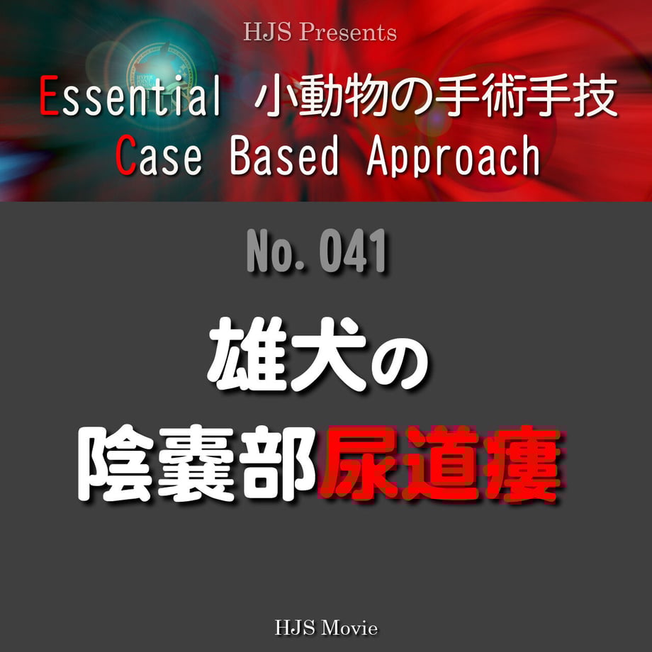652e4b197dd1ee0030471a6f