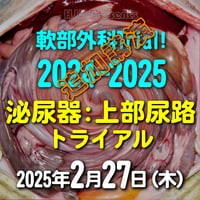 軟部外科Trial! 2024-2025 追加講演【泌尿器：上部尿路トライアル】：東京：2025年2月27日(木)